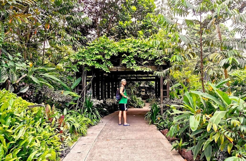 Botanic Gardens w Singapurze – dlaczego musisz odwiedzić to miejsce