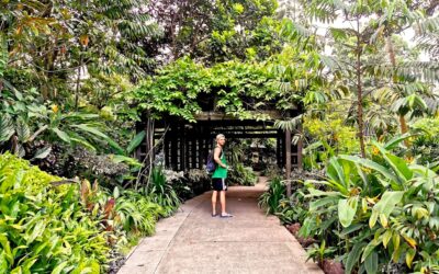 Botanic Gardens w Singapurze – dlaczego musisz odwiedzić to miejsce