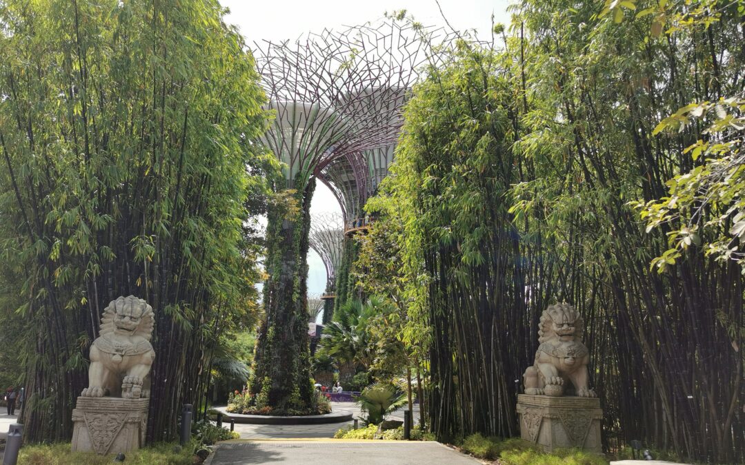 Atrakcje Singapuru/TOP darmowe miejsca do zwiedzenia