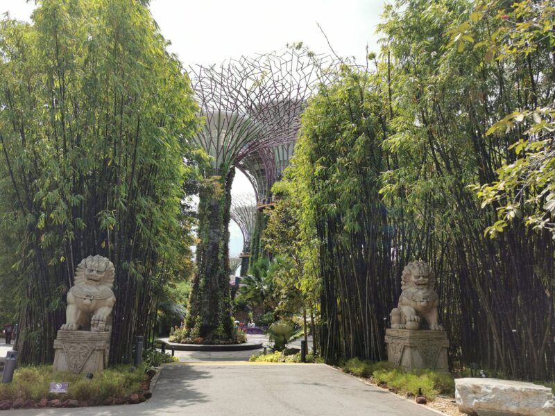 atrakcje Singapuru TOP darmowe miejsca atrakcje Singapuru TOP darmowe miejsca