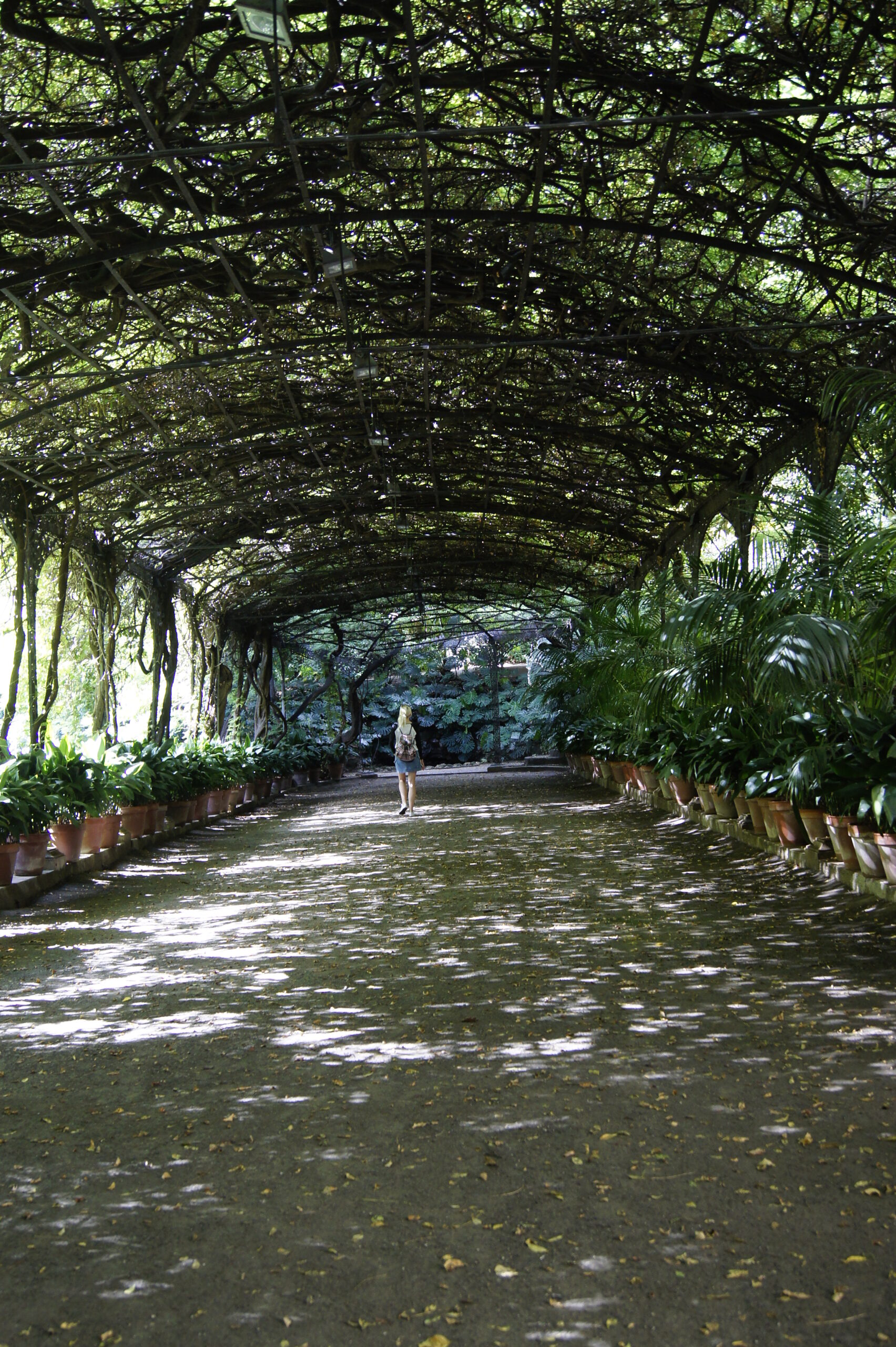 ogród botaniczny Malaga