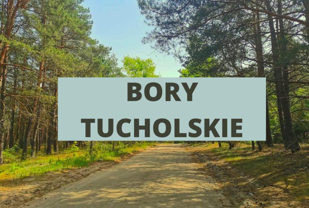 Bory Tucholskie – pomysł na weekend