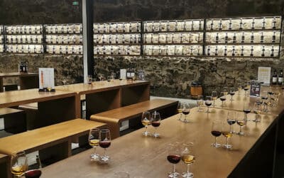Wino w Porto – historia, rodzaje, ciekawostki